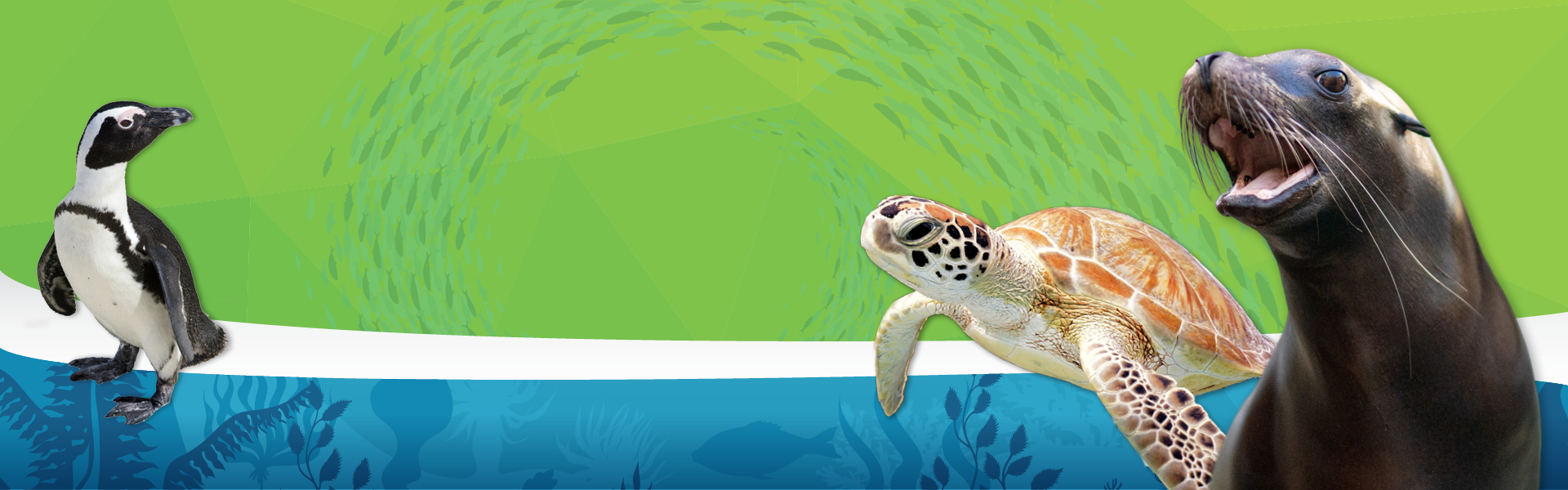 Packages starting at $180 for the birthday child and 10 friends! Celebrate with Marine Life